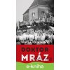 E-kniha Doktor Mráz - Denisa Fulmeková E-kniha Doktor Mráz - Denisa Fulmeková