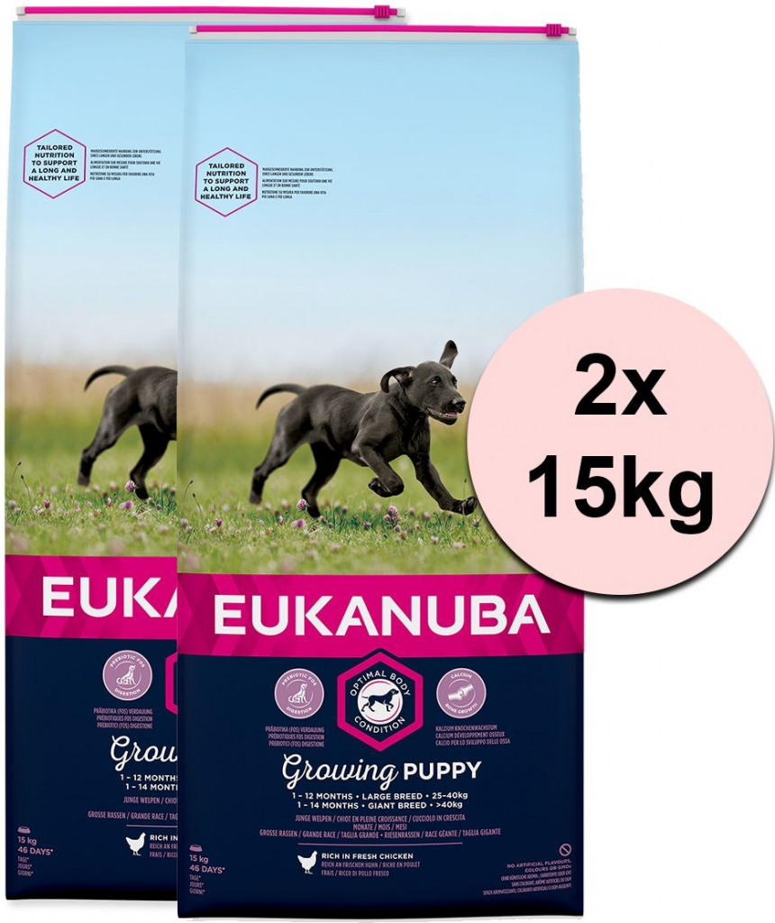 Eukanuba Puppy Large Breed chicken 2 x 15 kg