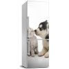 Foto nálepka na chladničku stenu Pes a mačka 60x180 cm Foto nálepka na chladničku stenu Pes a mačka 60x180 cm