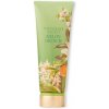 Victoria´s Secret Melón Drench Telové mlieko 236 ml Victoria´s Secret Melón Drench Telové mlieko 236 ml