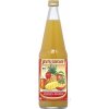 BEUTELSBACHER BIO Ananás-mango šťava 0,7 l BEUTELSBACHER BIO Ananás-mango šťava 0,7 l