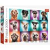 TREFL Legrační portréty psů II 2000 dielov TREFL Legrační portréty psů II 2000 dielov