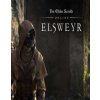 The Elder Scrolls Online Elsweyr Standard Edition The Elder Scrolls Online Elsweyr Standard Edition