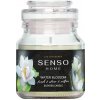 Dr.Marcus Senso Home Scented Candle - Water Blossom 130g (Vonná sviečka) Dr.Marcus Senso Home Scented Candle - Water Blossom 130g (Vonná sviečka)