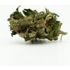 CBD konopný kvet Fire Kush, 13% CBD, 0.2% THC (3g-100g) 50 gramov CBD konopný kvet Fire Kush, 13% CBD, 0.2% THC (3g-100g) 50 gramov