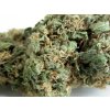 Seedsman Original Skunk 1 neobsahuje THC 10 semen Seedsman Original Skunk 1 neobsahuje THC 10 semen