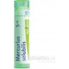 Mercurius Solubilis gra.1 x 4 g 5CH