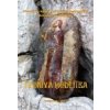 Tvorivá modlitva Tvorivá modlitva