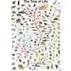 Eurographics Strom života 1000 dielov
