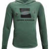 Under Armour Rival Terry Hoodie Zelená
