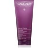 Caudalie Thé Des Vignes Shower Gel hydratačný sprchový gél 200 ml Caudalie Thé Des Vignes Shower Gel hydratačný sprchový gél 200 ml