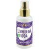 Purity Vision Bio Levanduľová voda 100 ml Purity Vision Bio Levanduľová voda 100 ml