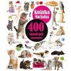 400 samolepek Koťátka 400 samolepek Koťátka