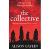 Collective (Alison Gaylin)(Brožovaná) Collective (Alison Gaylin)(Brožovaná)