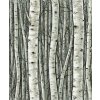 Marburg 35380 tapeta na stenu Timber 0,53 x 10,05 m