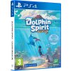 Dolphin Spirit: Ocean Mission