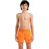 Arena Beach Short Logo R