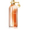 Montale Orange Aoud parfumovaná voda unisex 100 ml Montale Orange Aoud parfumovaná voda unisex 100 ml