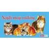 Najdi moji rodinu - autor neuvedený Najdi moji rodinu - autor neuvedený
