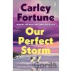Our Perfect Storm - Fortune Carley
