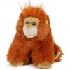 ARK Plyšová opica orangutan 12 cm - plyšové hračky ARK Plyšová opica orangutan 12 cm - plyšové hračky