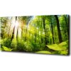 Foto obraz na plátne do obývačky Les slnko 100x50 cm Foto obraz na plátne do obývačky Les slnko 100x50 cm