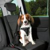 Trixie Szelki samochodowe Dog Protect S-M 40-55 cm / 20 mm Trixie Szelki samochodowe Dog Protect S-M 40-55 cm / 20 mm