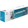 Lactanase Pro Equality pasta 50 g Lactanase Pro Equality pasta 50 g