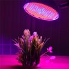 HIBRIGHT BASIC LED GROW žiarovka na všetky rastliny, 30W, E27, SMD 2835, ružová HIBRIGHT BASIC LED GROW žiarovka na všetky rastliny, 30W, E27, SMD 2835, ružová