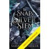 Střepy stříbrného stonku (Sarah A. Parker)(Brožovaná) Střepy stříbrného stonku (Sarah A. Parker)(Brožovaná)