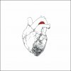 Swans - The Beggar (2 LP) Swans - The Beggar (2 LP)
