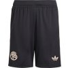 Adidas FC Bayern München - Bayern Mníchov kraťasy pánske (2025-2026) tretie Adidas FC Bayern München - Bayern Mníchov kraťasy pánske (2025-2026) tretie