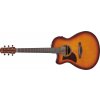 Ibanez AAM50LCE