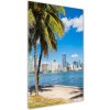 Vertikálny foto obraz fotografie na skle Miami 50x100 cm Vertikálny foto obraz fotografie na skle Miami 50x100 cm