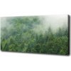 Foto obraz na plátne Tajomný les 100x50 cm Foto obraz na plátne Tajomný les 100x50 cm