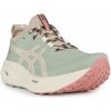 Asics Trailové topánky GEL-NIMBUS 26 TR 1012b653-250