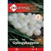 Cibuľa perlovka - Gyöngyhagyma 2 g Cibuľa perlovka - Gyöngyhagyma 2 g