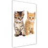 Vertikálny foto obraz sklo tvrdené Sivá a červená mačka 50x100 cm Vertikálny foto obraz sklo tvrdené Sivá a červená mačka 50x100 cm