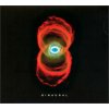 Pearl Jam, Binaural, CD Pearl Jam, Binaural, CD