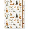 DOG DAYS JOURNAL (DIARY NOTEBO (Inc Peter Pauper Press)(Pevná) DOG DAYS JOURNAL (DIARY NOTEBO (Inc Peter Pauper Press)(Pevná)