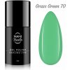 NANI gél lak Amazing Line 5 ml - Grass green NANI gél lak Amazing Line 5 ml - Grass green