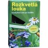 Agrostis Trávníky RAKOVEC kvetnatá lúka do vlhka zmes osív 200 g Agrostis Trávníky RAKOVEC kvetnatá lúka do vlhka zmes osív 200 g