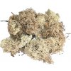 Islandský aranžérsky mach 500g - béžový Islandský aranžérsky mach 500g - béžový