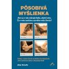 Pôsobivá myšlienka (Alan Sroufe) Pôsobivá myšlienka (Alan Sroufe)