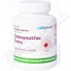 Labe Pharm Ostropestřec EXTRA s cholinem tob.60+30 Labe Pharm Ostropestřec EXTRA s cholinem tob.60+30