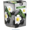 Bispol aura Relaxation 100g