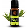 Day Spa BIO 100% Esenciálny olej Tea Tree 10 ml Day Spa BIO 100% Esenciálny olej Tea Tree 10 ml