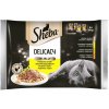 Sheba mokré krmivo pre mačky, mix príchutí 340g Sheba mokré krmivo pre mačky, mix príchutí 340g