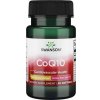 Swanson coq10 100 mg (koenzým q10) 50 gélových kapsúl Swanson coq10 100 mg (koenzým q10) 50 gélových kapsúl