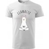 Yoga Llamaste - Klasické pánske tričko vyššej gramáže - XS ( Biela ) Yoga Llamaste - Klasické pánske tričko vyššej gramáže - XS ( Biela )